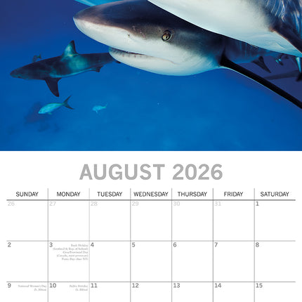 Sharks - 2026 Square Wall Calendar Pets Animals 16 Months Premium Planner Gift