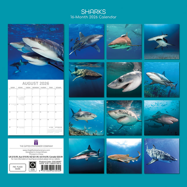 Sharks - 2026 Square Wall Calendar Pets Animals 16 Months Premium Planner Gift
