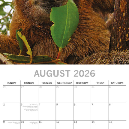 Sloths - 2026 Square Wall Calendar Pets Animals 16 Months Premium Planner Gift