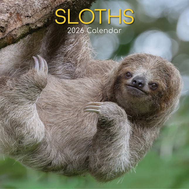 Sloths - 2026 Square Wall Calendar Pets Animals 16 Months Premium Planner Gift
