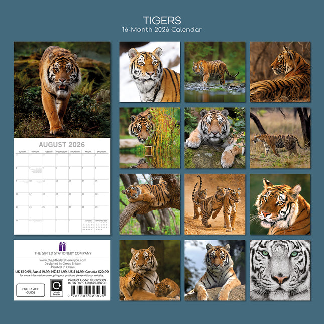 Tigers - 2026 Square Wall Calendar Pets Animals 16 Months Premium Planner Gift
