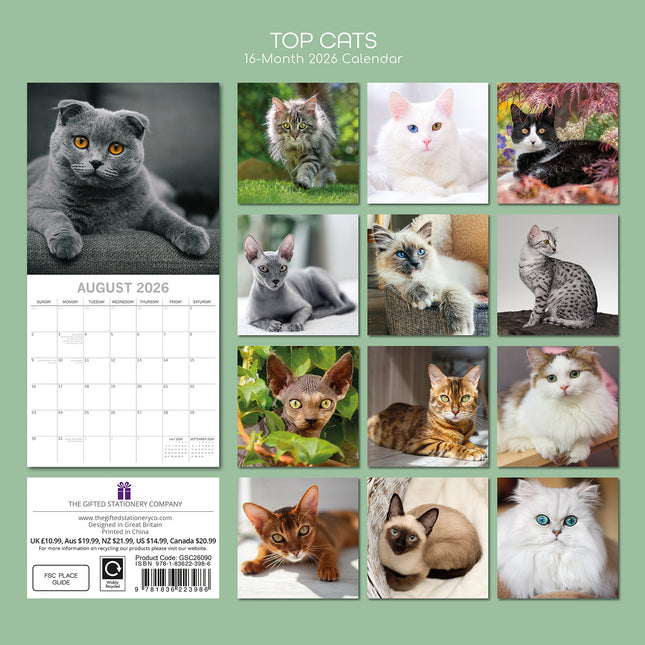 Top Cats - 2026 Square Wall Calendar Pets Animals 16 Months Premium Planner Gift