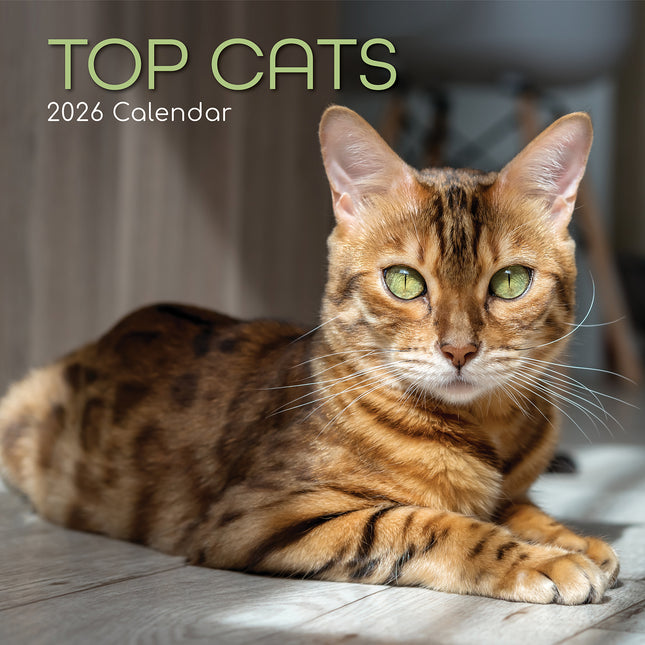 Top Cats - 2026 Square Wall Calendar Pets Animals 16 Months Premium Planner Gift