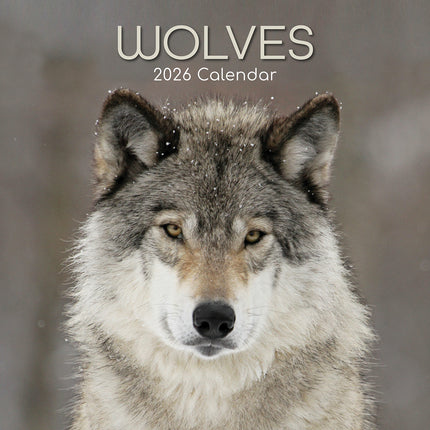 Collection image for: 2026 Animals Square Wall Calendars