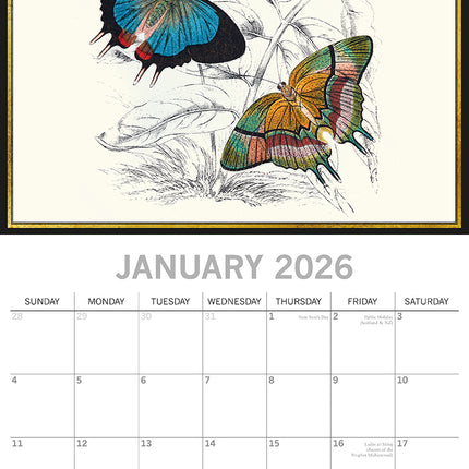 Insects - 2026 Square Wall Calendar 16 Months Arts Photography Home Planner Gift