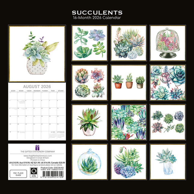 Succulents - 2026 Square Wall Calendar 16 Months Arts Photography Planner Gift