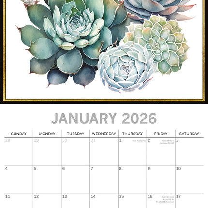 Succulents - 2026 Square Wall Calendar 16 Months Arts Photography Planner Gift