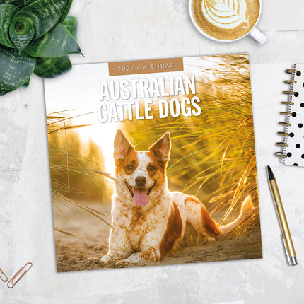 Australian Cattle Dogs 2027 square wall calendar - image detail