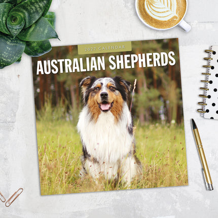 Australian Shepherds 2027 square wall calendar - image detail