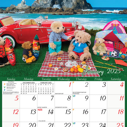 Life of Teddy - 2025 Rectangle Wall Calendar 13 Months Planner Adventures Gift