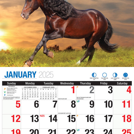 Horses - 2025 Rectangle Wall Calendar 16 Months Animal Planner New Year Gift