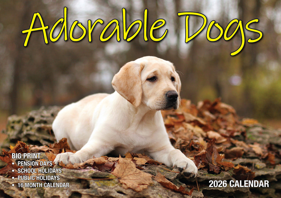 Adorable Dogs 2026 Rectangle Wall Calendar