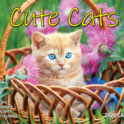 Cute Cats 2026 Rectangle Wall Calendar