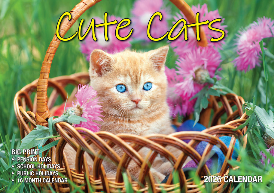 Cute Cats 2026 Rectangle Wall Calendar