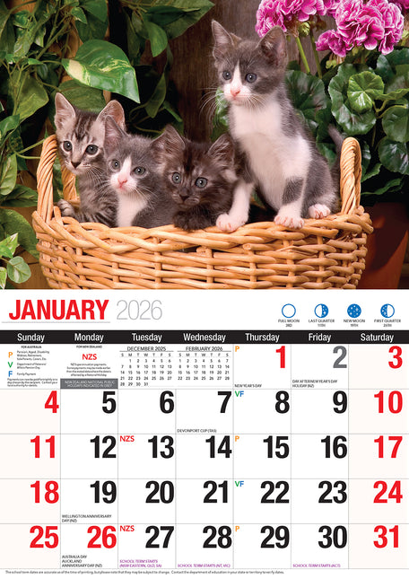 Cute Cats 2026 Rectangle Wall Calendar