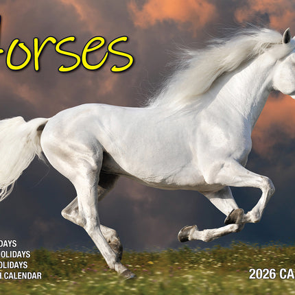 Horses 2026 Rectangle Wall Calendar