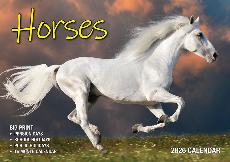Horses 2026 Rectangle Wall Calendar