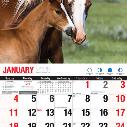 Horses 2026 Rectangle Wall Calendar