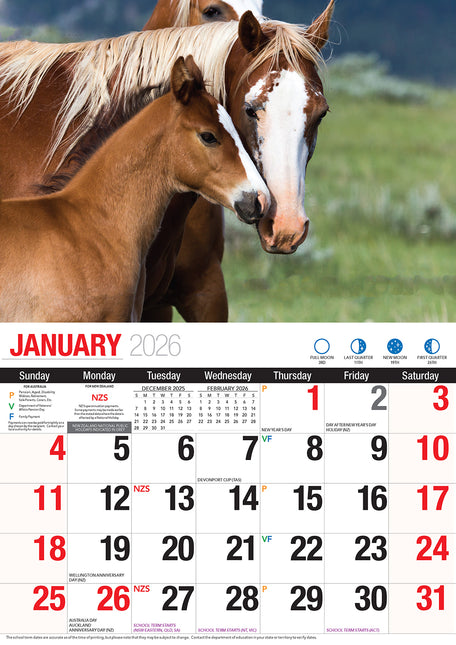 Horses 2026 Rectangle Wall Calendar
