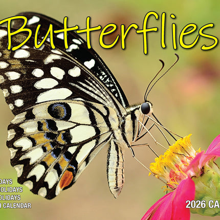 Butterflies 2026 Rectangle Wall Calendar