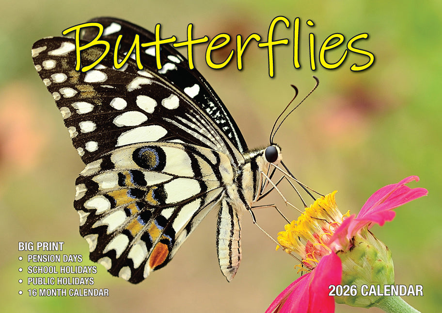 Butterflies 2026 Rectangle Wall Calendar