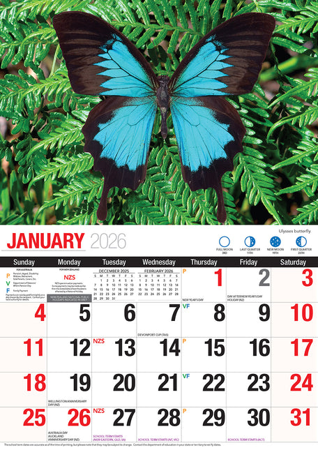 Butterflies 2026 Rectangle Wall Calendar