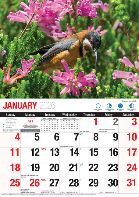 Australian Birds 2026 Rectangle Wall Calendar