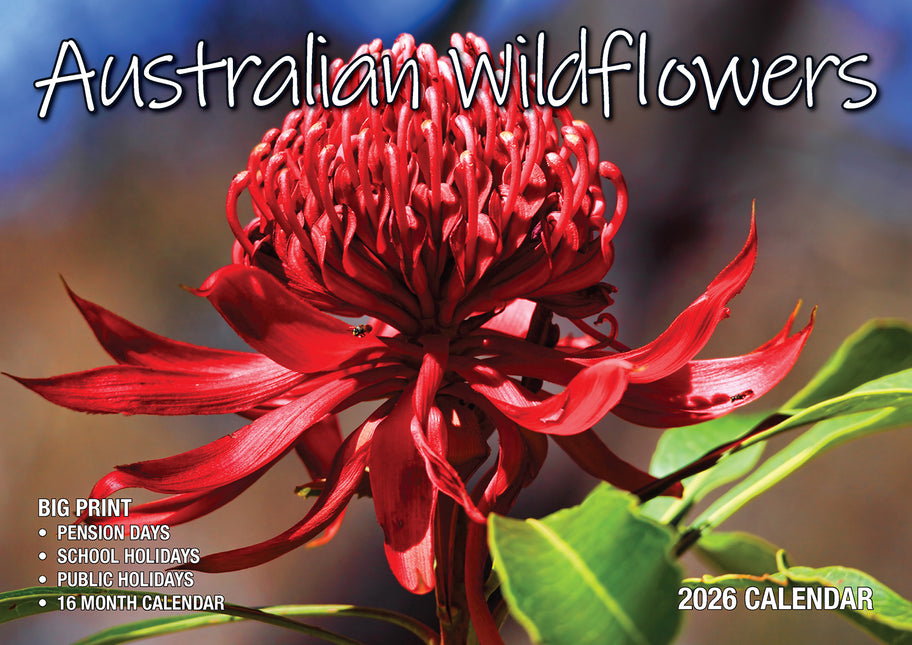 Australian Wildflowers 2026 Rectangle Wall Calendar