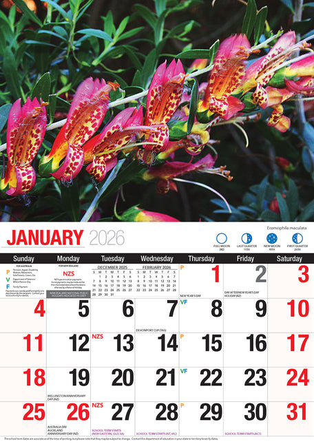 Australian Wildflowers 2026 Rectangle Wall Calendar