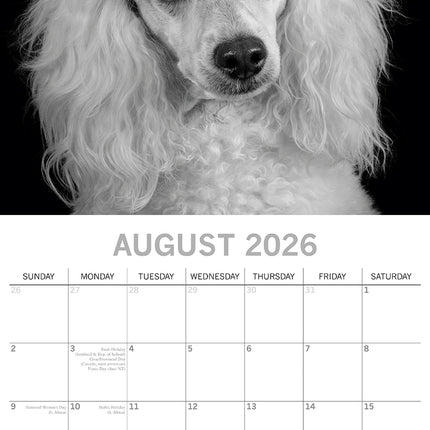 Dog Portraits - 2026 Square Wall Calendar 16 Months Black & White Planner Gift
