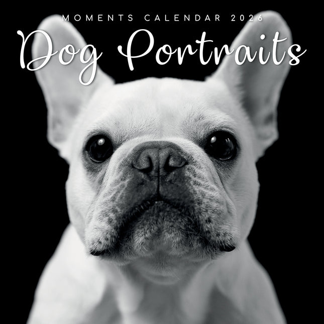 Dog Portraits - 2026 Square Wall Calendar 16 Months Black & White Planner Gift
