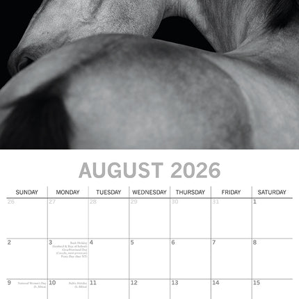 Horse Portraits - 2026 Square Wall Calendar 16 Months Black & White Planner Gift