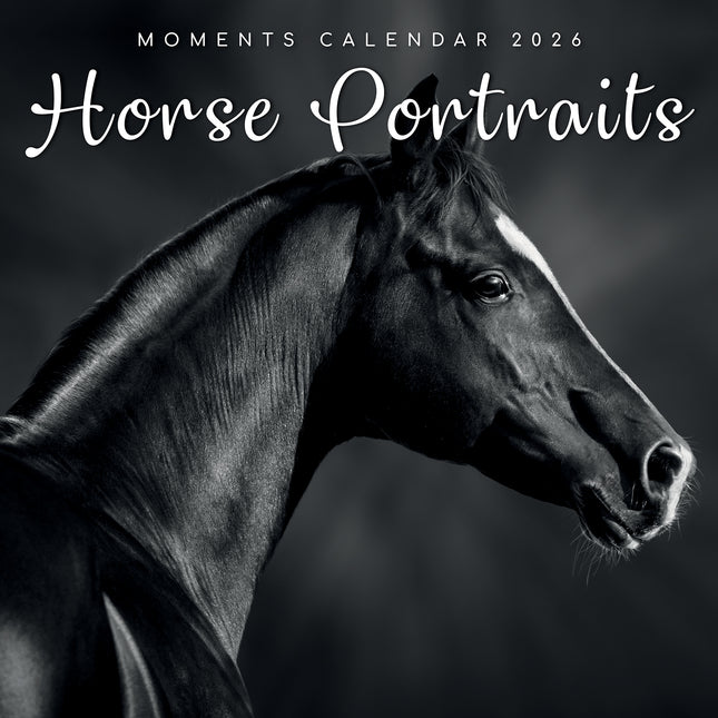 Horse Portraits - 2026 Square Wall Calendar 16 Months Black & White Planner Gift