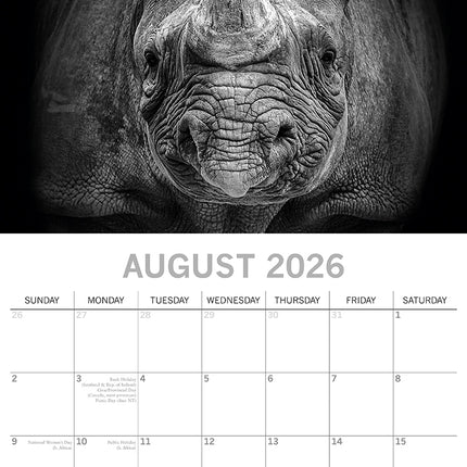 Wild Portraits - 2026 Square Wall Calendar 16 Months Black & White Planner Gift