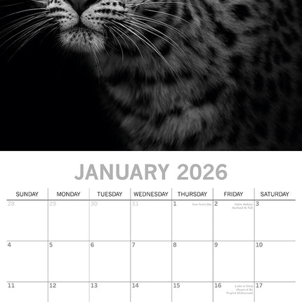 Wild Portraits - 2026 Square Wall Calendar 16 Months Black & White Planner Gift