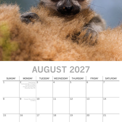 Baby Animals 2027 Square Wall Calendar August sample page