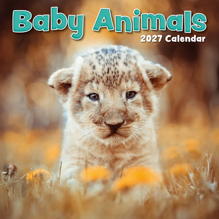 Baby Animals 2027 Square Wall Calendar cover