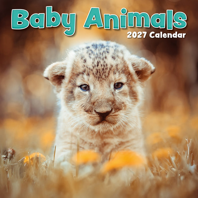 Baby Animals 2027 Square Wall Calendar cover