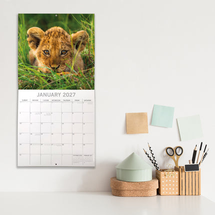 Baby Animals 2027 Square Wall Calendar lifestyle image