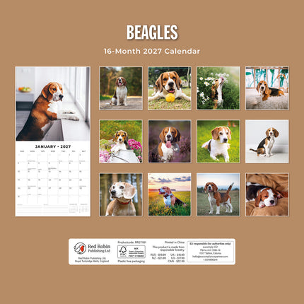 Beagles 2027 square wall calendar - back cover