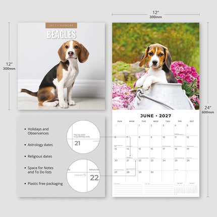 Beagles 2027 square wall calendar - product specifications