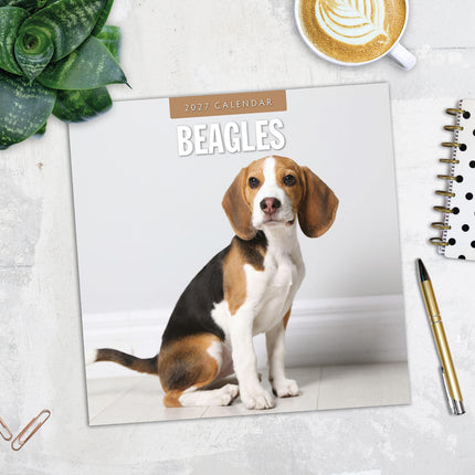 Beagles 2027 square wall calendar - image detail