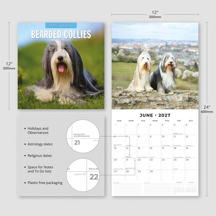 Bearded Collies 2027 square wall calendar - product specifications