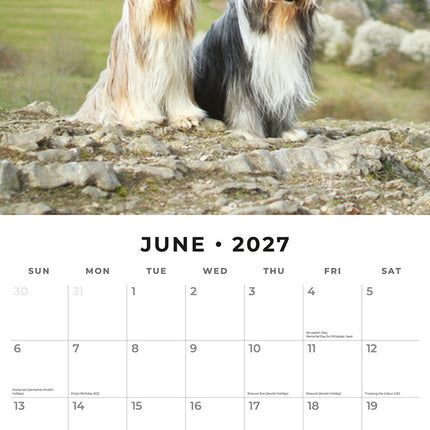 Bearded Collies 2027 square wall calendar - monthly calendar spread