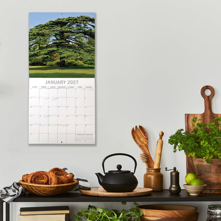 Beauty of Trees 2027 Premium Square Wall Calendar lifestyle image