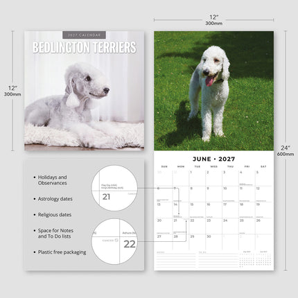 Bedlington Terriers 2027 square wall calendar - product specifications