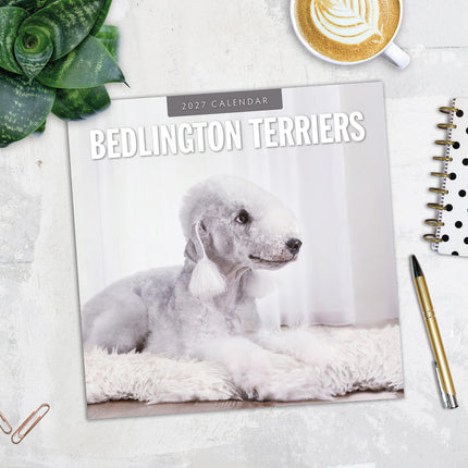 Bedlington Terriers 2027 square wall calendar - image detail