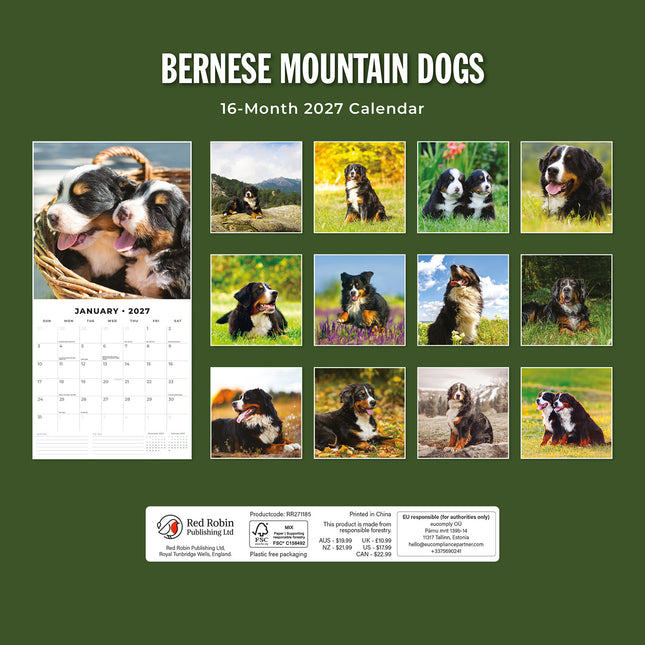 Bernese Mountain Dogs 2027 square wall calendar - back cover
