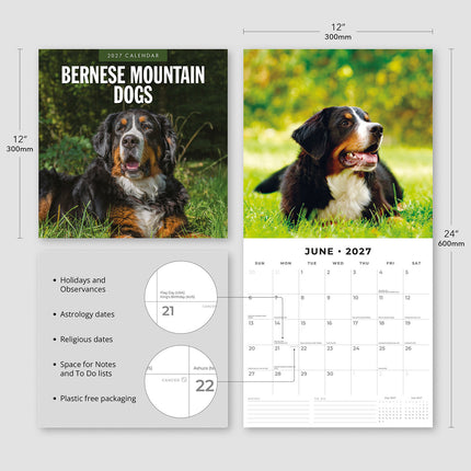 Bernese Mountain Dogs 2027 square wall calendar - product specifications