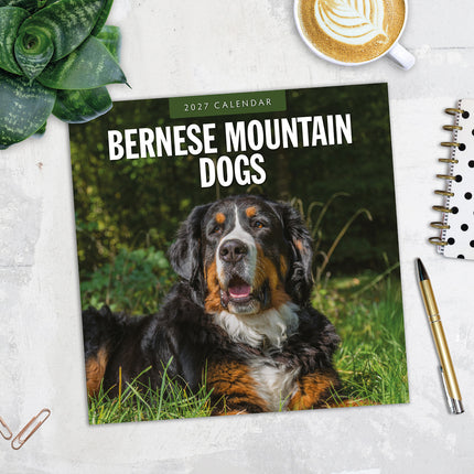 Bernese Mountain Dogs 2027 square wall calendar - image detail